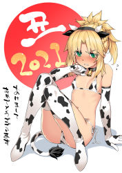 Rule 34 | 1girl, animal ears, animal print, bell, bikini, blonde hair, blush, braid, breasts, chinese zodiac, collar, commentary request, cow ears, cow horns, cow print, cow print bikini, cow tail, elbow gloves, embarrassed, fake animal ears, fake horns, fake tail, fate/apocrypha, fate (series), flying sweatdrops, gloves, green eyes, highres, horns, mordred (fate), mordred (fate/apocrypha), namonashi, neck bell, nose blush, parted bangs, ponytail, print bikini, short hair, side-tie bikini bottom, sidelocks, sitting, small breasts, solo, spiked hair, swimsuit, tail, thighhighs, translation request, white background, year of the ox