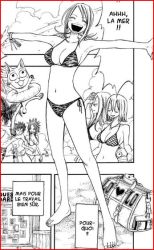Rule 34 | 00s, 1boy, 4girls, abs, bag, barefoot, beach, border, elie, fairy tail, french text, gray fullbuster, greyscale, happy (fairy tail), heart, julia (rave master), key, lucy heartfilia, mashima hiro, monochrome, multiple girls, muscular, palm tree, poster, rave, red border, scanlation, swimsuit, text focus, tree, wanted