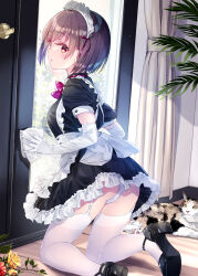 Rule 34 | 1girl, :o, animal, apron, black dress, black footwear, blush, bob cut, brown eyes, brown hair, cat, commentary request, curtains, day, dress, elbow gloves, flower, frilled dress, frills, garter straps, gloves, high heels, highres, indoors, kneeling, kobayashi chisato, looking at viewer, maid, maid apron, maid headdress, original, panties, pantyshot, plant, puffy short sleeves, puffy sleeves, rose, short hair, short sleeves, solo, sunlight, thighhighs, turning head, underwear, white apron, white gloves, white panties, white thighhighs, wooden floor, yellow flower, yellow rose