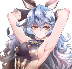 Rule 34 | 1girl, animal ears, armpits, arms behind head, blue hair, breasts, erune, ferry (granblue fantasy), granblue fantasy, hair between eyes, hayadai, long hair, medium breasts, sideboob, simple background, smile, solo, upper body, white background, yellow eyes