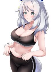 Rule 34 | 1girl, absurdres, alternate costume, animal ears, armpits, blush, breasts, brown hair, closed mouth, collarbone, commentary request, crop top, green eyes, hair between eyes, hair ornament, herohero (higashi no dou), highres, hishi miracle (umamusume), horse ears, horse tail, looking at viewer, medium breasts, medium hair, navel, shorts, solo, tail, umamusume, weight conscious, white background