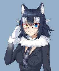 Rule 34 | 1girl, animal ears, artist request, black hair, blue eyes, blush, breast pocket, breasts, cleavage, fang, fur collar, glasses, gloves, grey wolf (kemono friends), heterochromia, highres, kemono friends, large breasts, looking at viewer, multicolored hair, pocket, red-framed eyewear, two-tone hair, white gloves, white hair, wolf ears, wolf girl