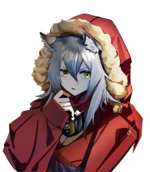 Rule 34 | 1girl, absurdres, animal ear fluff, arknights, fur-trimmed hood, fur trim, grey hair, hair between eyes, hand up, highres, hood, hooded jacket, jacket, long hair, long sleeves, looking at viewer, mask, mask around neck, mr-mc, open mouth, projekt red (arknights), red jacket, simple background, solo, upper body, v-shaped eyebrows, white background, yellow eyes