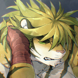 Rule 34 | 1boy, animal ears, bandaged hand, bandages, bara, blonde hair, close-up, colored sclera, furry, furry male, green sclera, hand in own hair, highres, jinnai10, long hair, macan (housamo), male focus, muscular, muscular male, pectorals, solo, thick eyebrows, tiger boy, tiger ears, tokyo houkago summoners, yellow fur