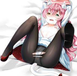 Rule 34 | 1girl, animal ears, arms up, black pantyhose, breasts, cameltoe, cat ears, cat tail, cleft of venus, drooling, full body, haneru, heterochromia, highres, jpeg artifacts, legs up, murenase! shiiton gakuen, nipples, okami ranka, open clothes, open mouth, open shirt, panties, pantyhose, pink hair, shirt, small breasts, solo, spread legs, sweat, tail, tears, torn clothes, torn pantyhose, underwear, wavy hair, white panties
