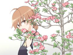 Rule 34 | 1girl, ahoge, branch, brown eyes, brown hair, collared shirt, covered mouth, eyes visible through hair, flower, from side, hair between eyes, hand up, koito yuu, leaf, long sleeves, looking at viewer, looking to the side, low twintails, nakatani nio, neck ribbon, official art, outdoors, pink flower, ribbon, school uniform, shirt, short hair, short twintails, solo, tree, twintails, upper body, white background, white shirt, yagate kimi ni naru, yellow ribbon