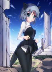 Rule 34 | 1girl, animal ears, bad id, bad pixiv id, blue eyes, cat ears, clothes lift, dress, dress lift, necktie, pantyhose, pillar, rods, sanya v. litvyak, short hair, silver hair, skirt, skirt lift, solo, strike witches, world witches series
