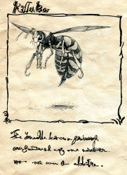 Rule 34 | bee, bug, children&#039;s book, comic, bug, monochrome, no humans, original, silent comic, toi (number8), traditional media