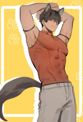 Rule 34 | 1boy, abs, animal ears, arash (fate), armpits, arms up, brown eyes, brown hair, brown shirt, cowboy shot, dabin, dog boy, dog ears, dog tail, fate/grand order, fate (series), hair between eyes, highres, kemonomimi mode, korean commentary, male focus, muscular, muscular male, pants, pectorals, shirt, short hair, sleeveless, sleeveless shirt, smile, solo, tail, toned, toned male, white pants, yellow background