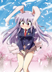 Rule 34 | 1girl, animal ears, blazer, blush, cherry blossoms, covering privates, covering crotch, female focus, jacket, kousei (public planet), long hair, necktie, publicplanet, purple hair, rabbit ears, red eyes, red necktie, reisen udongein inaba, skirt, skirt tug, solo, tears, touhou, wind, wind lift