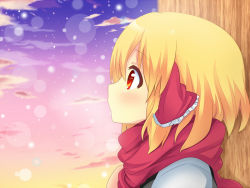 Rule 34 | 1girl, bad id, bad pixiv id, blonde hair, embodiment of scarlet devil, female focus, profile, red eyes, red scarf, rumia, scarf, shinekalta, short hair, solo, touhou, upper body, winter