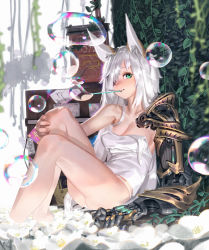 Rule 34 | 1girl, animal ears, ass, bare legs, bare shoulders, barefoot, blush, breasts, bubble, blowing bubbles, cable, camisole, cleavage, collarbone, eyelashes, fingernails, flower, fox ears, green eyes, hair over one eye, karasu-san (syh3iua83), knees up, leaning back, long hair, looking at viewer, machinery, mechanical arms, medium breasts, mouth hold, no pants, one eye covered, original, panties, plant, pole, single mechanical arm, sitting, smile, solo, underwear, untied, very long hair, vines, white flower, white hair, white panties