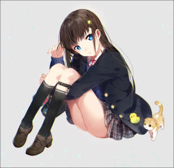 Rule 34 | 1girl, animal, bag, black border, black cardigan, black socks, blazer, blue eyes, blunt bangs, blush, border, brown footwear, brown hair, buttons, cardigan, cat, closed mouth, collared shirt, commentary, expressionless, grey background, hair ornament, twirling hair, hairpin, hakusai (tiahszld), hugging own legs, jacket, jpeg artifacts, kneehighs, knees up, leaning forward, loafers, long hair, long sleeves, miniskirt, open cardigan, open clothes, open jacket, original, plaid, plaid skirt, red ribbon, ribbon, school bag, school uniform, shirt, shoes, simple background, sitting, skirt, sleeves past wrists, socks, solo, thighs, unbuttoned, very long hair, wing collar