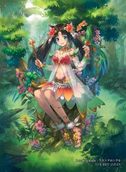 Rule 34 | 1girl, animal ears, bare shoulders, bird, black hair, blue eyes, cat ears, cat girl, eihi, female focus, flower, last chronicle, long hair, looking at viewer, midriff, multicolored hair, navel, open mouth, sitting, smile, solo, twintails