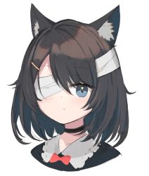 Rule 34 | 1girl, animal ear fluff, animal ears, bandage over one eye, black hair, blue eyes, cat ears, choker, expressionless, highres, original, portrait, satou (3366 s), short hair, simple background, sketch, solo, white background