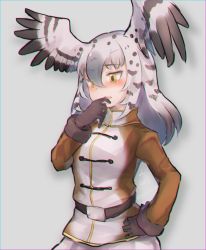 Rule 34 | 10s, 1girl, belt, bird wings, black hair, blush, chromatic aberration, coat, commentary request, cowboy shot, embarrassed, gloves, grey hair, hand on own hip, head wings, highres, kemono friends, long hair, long sleeves, martial eagle (kemono friends), multicolored hair, nose blush, solo, tatsuno newo, wings