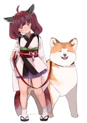 Rule 34 | 1girl, ahoge, brown eyes, brown hair, closed mouth, commentary request, dog, double-parted bangs, full body, half-closed eyes, head tilt, highres, holding, holding leash, leash, light smile, long hair, long sleeves, looking at viewer, obi, petite, pigeon-toed, sash, shiba inu, simple background, solo, standing, touhoku kiritan, twintails, uchisaki himari, voiceroid, white background, wide sleeves