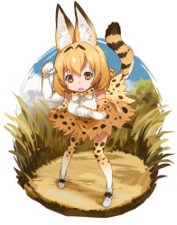 Rule 34 | 10s, 1girl, animal ears, bent over, brown eyes, cat ears, cat tail, commentary request, elbow gloves, gloves, highres, kemono friends, light brown hair, looking at viewer, paw pose, polka dot, serval (kemono friends), serval print, serval tail, short hair, solo, tail, thighhighs, yuu (higashi no penguin), zettai ryouiki