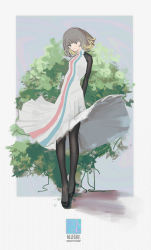 Rule 34 | 1girl, absurdres, arms behind back, black footwear, black pantyhose, black sleeves, blonde hair, blue background, bush, closed mouth, commentary, dotted background, dress, english text, grey eyes, grey hair, head tilt, highres, looking at viewer, multicolored hair, original, pantyhose, shadow, smile, solo, streaked hair, striped clothes, striped dress, teraka1110, white background, white dress, wind, wind lift