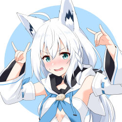 Rule 34 | 1girl, ahoge, animal ear fluff, animal ears, blue neckerchief, blush, braid, breasts, clothing cutout, commentary, detached sleeves, double fox shadow puppet, ear piercing, embarrassed, felutiahime, fox ears, fox shadow puppet, hands up, highres, hololive, hood, hoodie, neckerchief, piercing, shirakami fubuki, shirakami fubuki (1st costume), side braid, small breasts, solo, sweatdrop, underboob cutout, virtual youtuber, w arms, white hoodie, white sleeves, wide sleeves