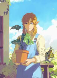 Rule 34 | 1boy, androgynous, apron, blonde hair, blue apron, blue eyes, blue sky, closed mouth, cloud, cloudy sky, cowboy shot, day, eorinamo, highres, holding, holding plant, house, leaf, link, long hair, long sleeves, looking at viewer, nintendo, outdoors, plant, pointy ears, potted plant, shirt, sky, the legend of zelda, white shirt