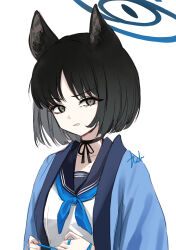 Rule 34 | 1girl, absurdres, animal ears, ash (cat7evy), black hair, black sailor collar, blue archive, blue halo, blue neckerchief, cat ears, commentary request, frown, grey eyes, halo, haori, highres, japanese clothes, kikyou (blue archive), long sleeves, looking at viewer, neckerchief, sailor collar, short hair, simple background, solo, upper body, white background, wide sleeves