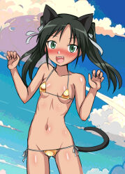 Rule 34 | 1girl, animal ears, bikini, blush, breasts, cat ears, cat tail, cyber (cyber knight), fang, francesca lucchini, gold bikini, green eyes, green hair, highres, long hair, looking at viewer, navel, open mouth, small breasts, smile, solo, strike witches, swimsuit, tail, twintails, world witches series