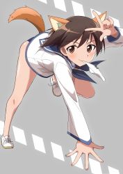 Rule 34 | 1girl, absurdres, animal ears, ass, blush, bow, bow panties, brown eyes, brown hair, dress, female focus, highres, looking at viewer, miyafuji yoshika, mouth hold, panties, panties in mouth, raccoon ears, raccoon tail, sailor dress, shiny skin, short hair, smile, solo, strike witches, swimsuit, tail, tricky 46, underwear, w, white panties, world witches series