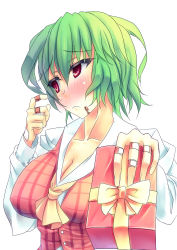 Rule 34 | 1girl, ascot, bandaid, bandaid on hand, blush, breasts, cleavage, embarrassed, female focus, frown, gift, green hair, holding, holding gift, incoming gift, kazami yuuka, kinntarou, large breasts, plaid, plaid vest, red eyes, short hair, solo, touhou, upper body, valentine, vest