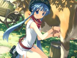 Rule 34 | 00s, 1girl, animal, bangle, bare legs, barrel, blue eyes, blue hair, bracelet, breasts, bucket, cow, day, dress, farmer, flower, from side, furudera naru, game cg, grass, hand milking, hat, jewelry, kneeling, llyr, long hair, looking at viewer, looking to the side, matching hair/eyes, milk, neckerchief, no socks, outdoors, shoes, short dress, short hair with long locks, sidelocks, sleeveless, sleeveless dress, solo, sunlight, tears to tiara, tree shade, udder, wagon, white dress