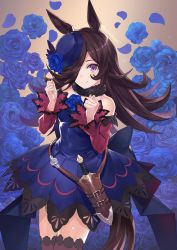 Rule 34 | 1girl, animal ears, bare shoulders, black thighhighs, blue dress, blue flower, blue hat, blue rose, brown hair, clenched hands, closed mouth, collarbone, cowboy shot, dagger, dress, flower, hair over one eye, hat, hat flower, highres, horse ears, horse girl, horse tail, itou youichi, knife, long hair, long sleeves, off-shoulder dress, off shoulder, petals, purple eyes, rice shower (umamusume), rose, rose petals, sheath, sheathed, smile, solo, tail, thighhighs, tilted headwear, twitter username, umamusume, weapon
