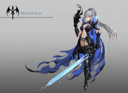 Rule 34 | 1girl, absurdres, armor, black thighhighs, breasts, cleavage, closed mouth, highres, holding, holding sword, holding weapon, kirbyheimi, large breasts, long hair, looking at viewer, navel, original, pixiv fantasia, pixiv fantasia revenge of the darkness, ponytail, purple eyes, silver hair, solo, sword, thighhighs, weapon