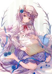 Rule 34 | 1girl, absurdly long hair, alternate costume, alternate hair color, alternate hairstyle, animal, animal on lap, bare legs, barefoot, blue dress, blue flower, blue ribbon, blue rose, book, bow, bowtie, capelet, cat, cat on lap, closed mouth, commentary, cosplay, dress, english commentary, flower, frilled capelet, frilled dress, frilled hat, frilled pillow, frilled sleeves, frills, full body, gradient dress, hair flower, hair ornament, hair spread out, hat, head tilt, highres, holding, holding animal, holding cat, kita (kitairoha), light particles, long hair, long sleeves, looking at viewer, looking up, mob cap, on bed, on lap, patchouli knowledge, patchouli knowledge (cosplay), petting, pillow, plant, purple capelet, purple dress, purple eyes, purple hair, red bow, red bowtie, red ribbon, ribbon, rose, short hair with long locks, sidelocks, sitting, smile, solo, striped background, striped clothes, striped dress, touhou, tsukumo benben, two-tone dress, vertical-striped clothes, vertical-striped dress, very long hair, wariza, white cat