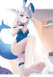 Rule 34 | 1girl, absurdres, animal ears, blue eyes, blush, fake animal ears, feet, fins, fish tail, gawr gura, highres, hololive, leotard, long hair, looking at viewer, multicolored hair, pantyhose, parted lips, rabbit ears, shark tail, short twintails, silver hair, soles, streaked hair, tail, toes, twintails, virtual youtuber, white pantyhose