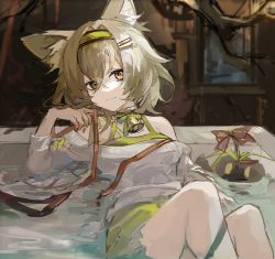 Rule 34 | 1girl, animal ear fluff, animal ears, arknights, bare shoulders, beanstalk (arknights), beanstalk (gift uncompleted) (arknights), bell, breasts, brown eyes, brown hair, closed mouth, commentary request, feet out of frame, green hairband, green skirt, hair between eyes, hair ornament, hairband, hairclip, hand up, highres, indoors, knees up, long sleeves, looking at viewer, official alternate costume, partially submerged, qianzhu, shirt, skirt, small breasts, smile, solo, water, white shirt