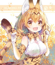 Rule 34 | 10s, 1girl, animal ears, blonde hair, bow, bowtie, chocho (homelessfox), elbow gloves, fang, gloves, kemono friends, looking at viewer, open mouth, paw print, serval (kemono friends), serval print, serval tail, short hair, solo, striped tail, tail, yellow eyes