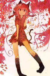 Rule 34 | 1girl, absurdres, animal ears, bare legs, black socks, bow, braid, cat ears, cat tail, closed mouth, dress, full body, hair bow, highres, kaamin (mariarose753), kaenbyou rin, long hair, looking at viewer, red dress, red eyes, red hair, short dress, smile, socks, solo, standing, tail, touhou, twin braids