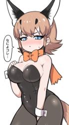 Rule 34 | 1girl, alternate costume, animal ears, bare arms, bare shoulders, black hair, black leotard, black pantyhose, blue eyes, blush, bow, bowtie, caracal (kemono friends), commentary request, covered navel, cowboy shot, extra ears, female focus, highres, kemono friends, kittysuit, leotard, light brown hair, long hair, multicolored hair, nontraditional playboy bunny, nose blush, orange bow, orange bowtie, pantyhose, playboy bunny, ransusan, sidelocks, simple background, sleeve cuffs, solo, strapless, strapless leotard, sweat, tail, traditional bowtie, translated, white background