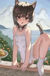 Rule 34 | 1girl, :o, absurdres, animal ears, bell, blush, breasts, brown eyes, brown hair, cameltoe, cat ears, cat tail, cleft of venus, climbing, day, dress, extra breasts, hair ornament, highres, lake, neck bell, original, outdoors, panties, short hair, small breasts, socks, sundress, susu (ysy), tail, underwear, white dress, white panties, white socks, x hair ornament