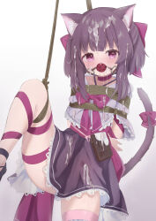 Rule 34 | 1girl, absurdres, animal ears, arm ribbon, arms behind back, ball gag, bdsm, blush, bondage, bound, bound arms, bound legs, bound torso, bow, bowtie, bukkake, candy, capelet, caplet, cat ears, cat girl, cat tail, chocolate, chocolate bar, collar, cum, cum on body, cum on clothes, cum on hair, cum on lower body, cum on upper body, dress, dress shirt, embarrassed, facial, fallenshadow, female focus, food, frilled capelet, frilled shirt, frilled skirt, frills, gag, gagged, hair between eyes, hair ornament, hair ribbon, hamuta (machosbrown), highres, indie virtual youtuber, jewelry, kinbaku, leg ribbon, leg up, looking at viewer, necklace, pink bow, pink bowtie, pink eyes, purple hair, purple skirt, ribbon, shibari, shibari over clothes, shirt, simple background, skindentation, skirt, slave, solo, tail, tail ornament, tearing up, tears, virtual youtuber, waist bow, wet, wet clothes