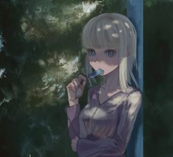 Rule 34 | 1girl, absurdres, bad id, bad pixiv id, blue eyes, collarbone, commentary, english commentary, food, food in mouth, highres, holding, holding food, long hair, long sleeves, looking at viewer, nicporim, original, outdoors, popsicle, purple shirt, shirt, solo, upper body, white hair
