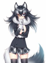 Rule 34 | 10s, 1girl, animal ears, black jacket, black thighhighs, breasts, fur collar, glasses, gloves, grey wolf (kemono friends), hattori masaki, heterochromia, jacket, kemono friends, large breasts, long hair, looking at viewer, miniskirt, multicolored hair, necktie, open clothes, open jacket, pleated skirt, shiny skin, simple background, skindentation, skirt, solo, standing, tail, thighhighs, two-tone hair, white background, white gloves, wolf ears, wolf tail, zettai ryouiki