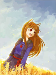 Rule 34 | 00s, 1girl, animal ears, holo, solo, spice and wolf, wolf ears