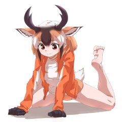 Rule 34 | 1girl, animal ears, arm support, bare legs, barefoot, black hair, brown eyes, brown hair, buruma, extra ears, feet up, gloves, highres, horizontal pupils, horns, jacket, kemono friends, kemono friends 2, kneeling, leaning forward, long sleeves, looking down, medium hair, multicolored hair, open clothes, open jacket, outstretched arms, pronghorn (kemono friends), shirt, simple background, soles, solo, spread legs, stretching, tail, tanabe (fueisei), toes, track jacket, white background, white hair