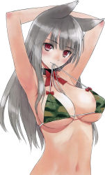 Rule 34 | 1girl, absurdres, animal ears, armpits, arms up, bikini, blush, body blush, breasts, camouflage, camouflage bikini, cleavage, collar, covered erect nipples, highres, large breasts, looking at viewer, mouth hold, navel, print bikini, red eyes, silver hair, simple background, smile, solo, strap gap, swimsuit, tony taka, white background