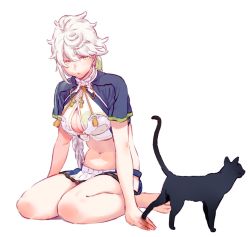 Rule 34 | 1girl, animal, bare shoulders, black cat, braid, breasts, cat, cleavage, cleavage cutout, clothing cutout, cloud print, hair between eyes, hair ornament, highres, kantai collection, large breasts, long hair, midriff, navel, parted lips, short sleeves, simple background, single braid, sitting, skirt, tassel, unryuu (kancolle), uyama hajime, white background, white hair, yellow eyes
