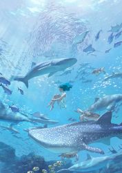 Rule 34 | 1girl, animal, blue hair, day, diving, dress, fish, in water, light, light rays, long dress, long hair, looking to the side, ocean, original, reengirl, shark, sleeveless, solo, swimming, turtle, underwater, water, whale
