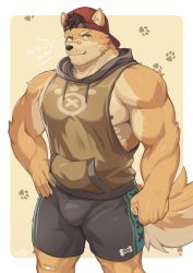 Rule 34 | 1boy, animal ears, backwards hat, bad id, bad pixiv id, bandaid, bandaid on face, bandaid on nose, bara, bare arms, beige fur, black shorts, bulge, fang, feet out of frame, furry, furry male, hat, highres, hood, hoodie, large pectorals, looking at viewer, male focus, muscular, muscular male, nipple slip, nipples, original, paw print, pectorals, shorts, sidepec, sleeveless, sleeveless hoodie, solo, standing, tail, thick thighs, thighs, two-tone fur, wolf boy, wolf ears, wolf tail, yellow fur, zifu