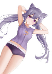 Rule 34 | 1girl, arms up, breasts, commission, double bun, genshin impact, hair bun, joko jmc, keqing (genshin impact), looking at viewer, purple eyes, purple hair, purple shorts, shirt, short shorts, short sleeves, shorts, shrimp, simple background, solo, t-shirt, twintails, white background