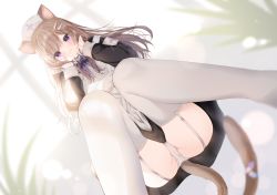 Rule 34 | 1girl, :3, animal ear fluff, animal ears, apron, armband, ass, bad id, bad pixiv id, black dress, blurry, blurry background, blurry foreground, blush, bow, brown hair, cat ears, cat girl, cat tail, closed mouth, depth of field, dress, dutch angle, from below, garter straps, hair ornament, hat, leo (mafuyu), long hair, long sleeves, looking at viewer, mafuyu (chibi21), multicolored hair, nurse cap, original, panties, purple bow, purple eyes, purple hair, skindentation, smile, solo, squatting, streaked hair, tail, thighhighs, underwear, white apron, white hat, white panties, white thighhighs